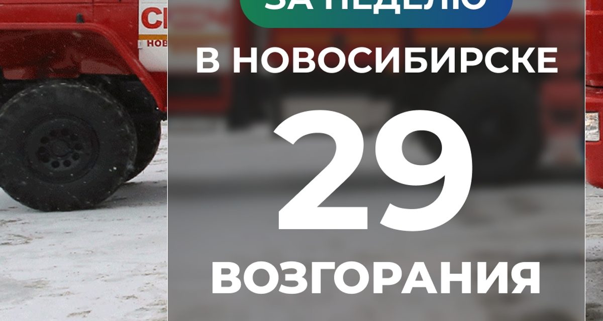В Новосибирске за неделю произошло 29 возгораний, два человека погибли