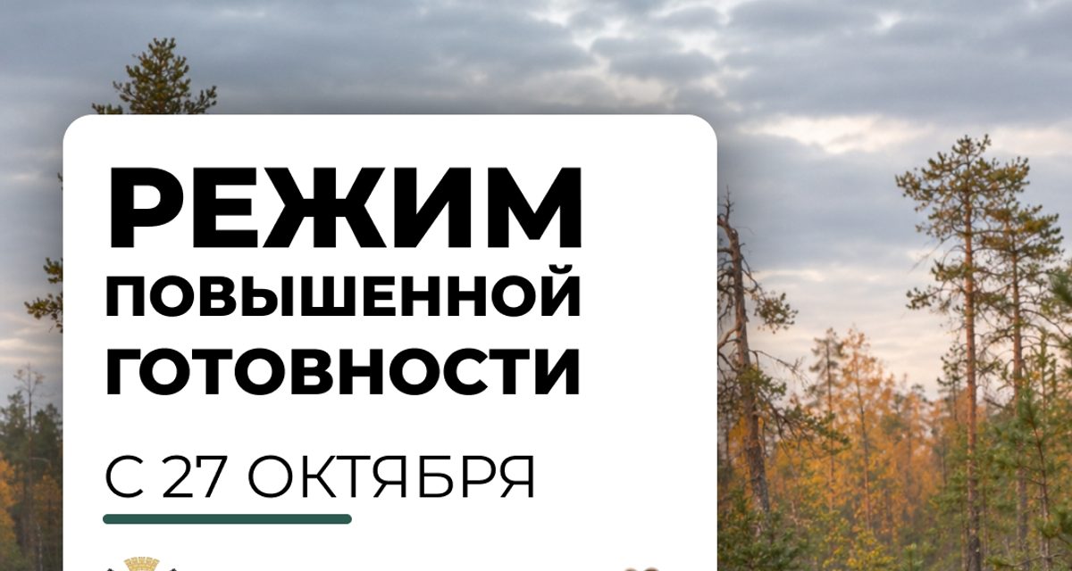 Новосибирская область ввела режим повышенной готовности из-за выходов медведей к людям