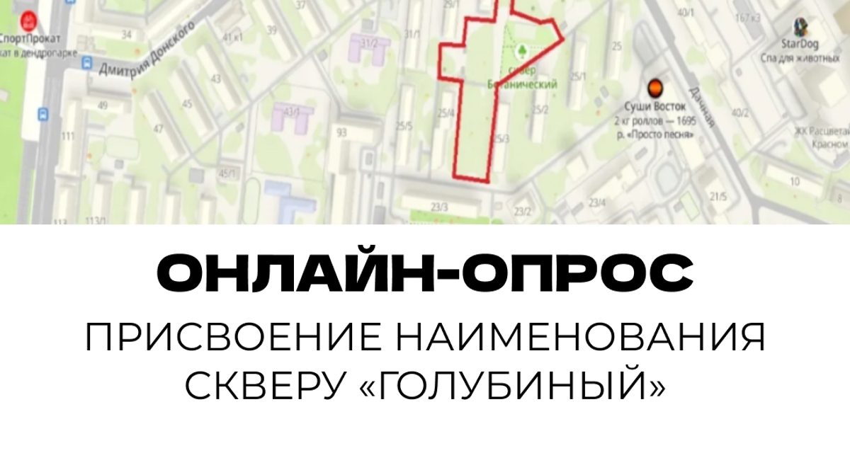 Скверу в Центральном округе хотят официально присвоить народное имя «Голубиный» через Госуслуги