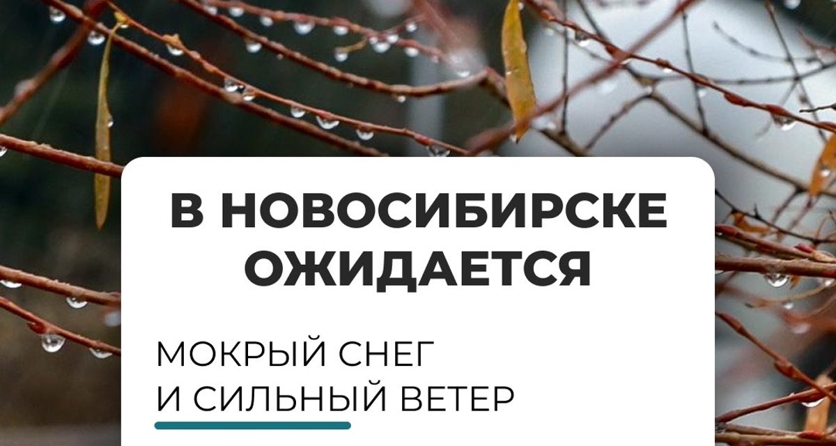 В Новосибирске 7 и 8 октября ожидаются дожди с мокрым снегом и сильный ветер