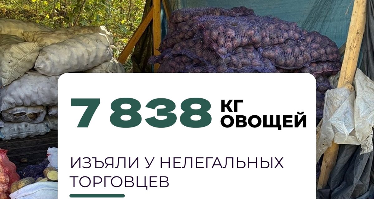 У нелегальных продавцов в Новосибирске изъяли почти 8 тонн овощей